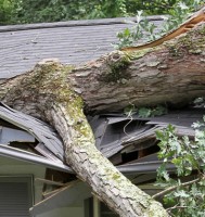 Property Loss Claims for Actual Cash Value Policies